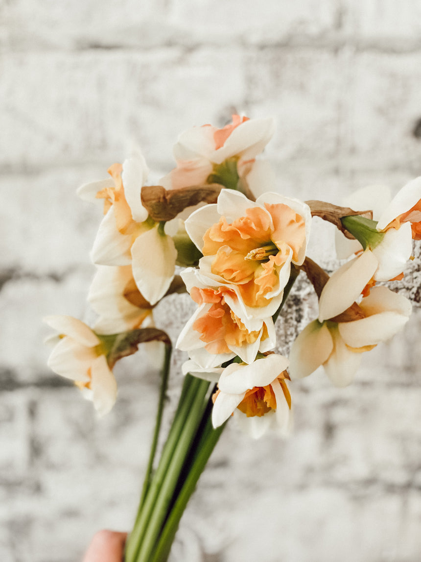 Market Style Daffodil Bunches